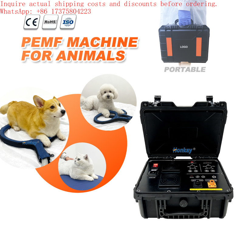 Health Wellness Activities - Active Life Device for Dog Body