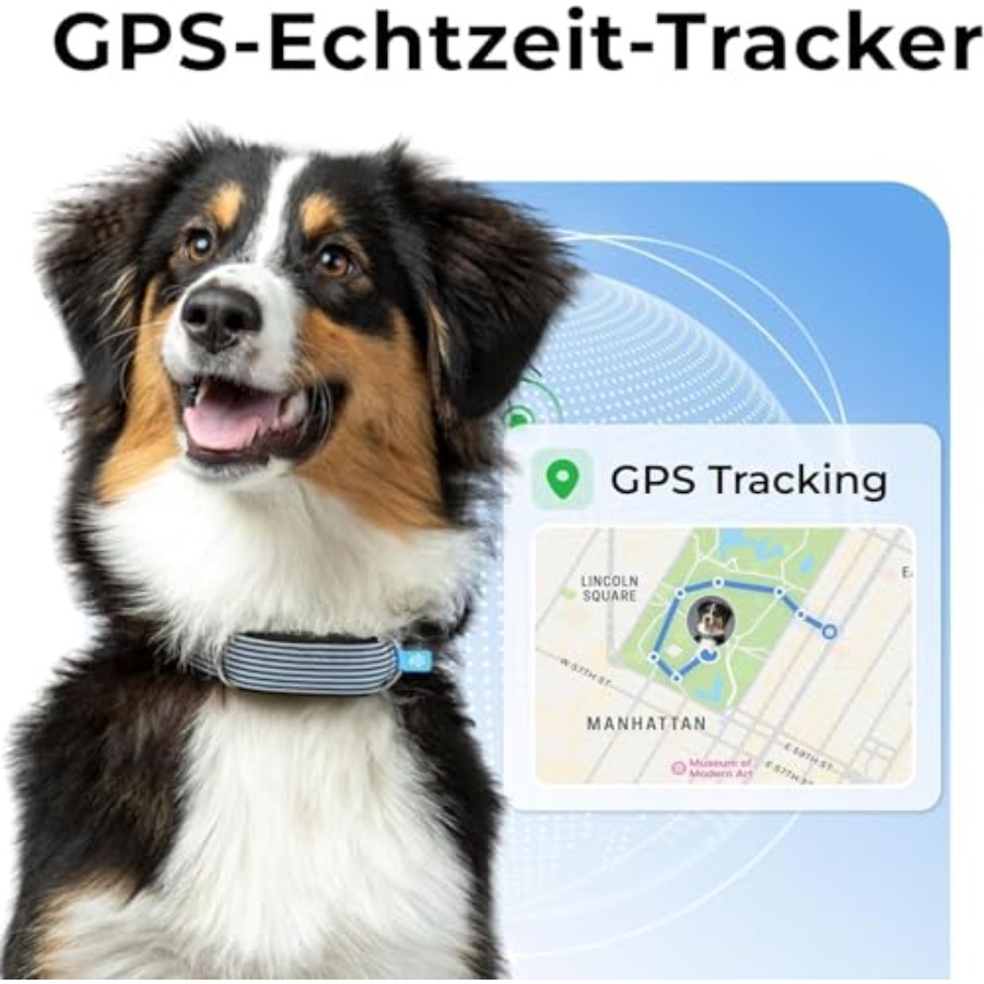 Compact Lightwght Dog Health G – обзор и цена Health Wellness Activities
