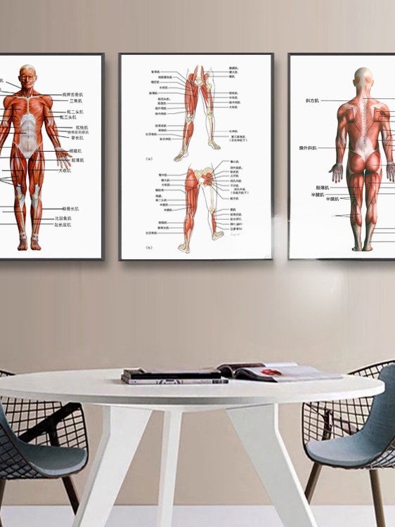 Modern Simplified Chinese Huma – обзор и цена Health Within Wellness Center