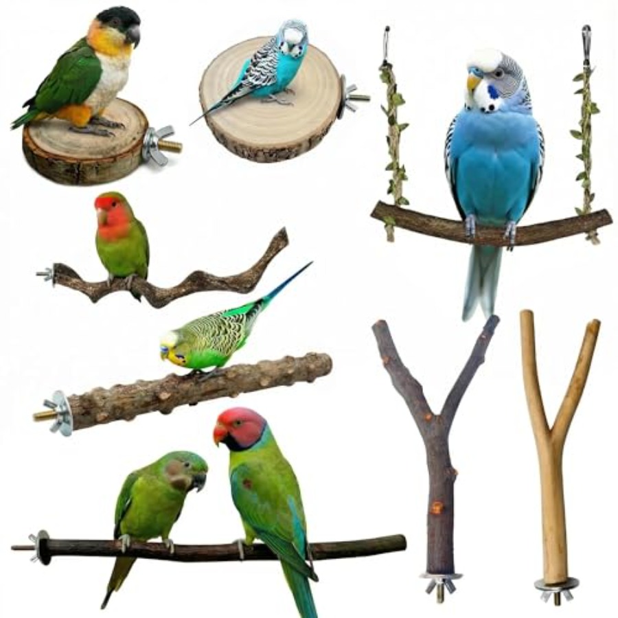 8PCS natural wood bird perches – обзор и цена Health & Wellness Rehab