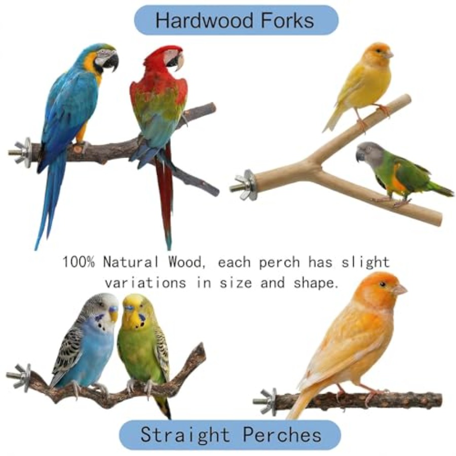 8PCS natural wood bird perches – обзор и цена Health & Wellness Rehab