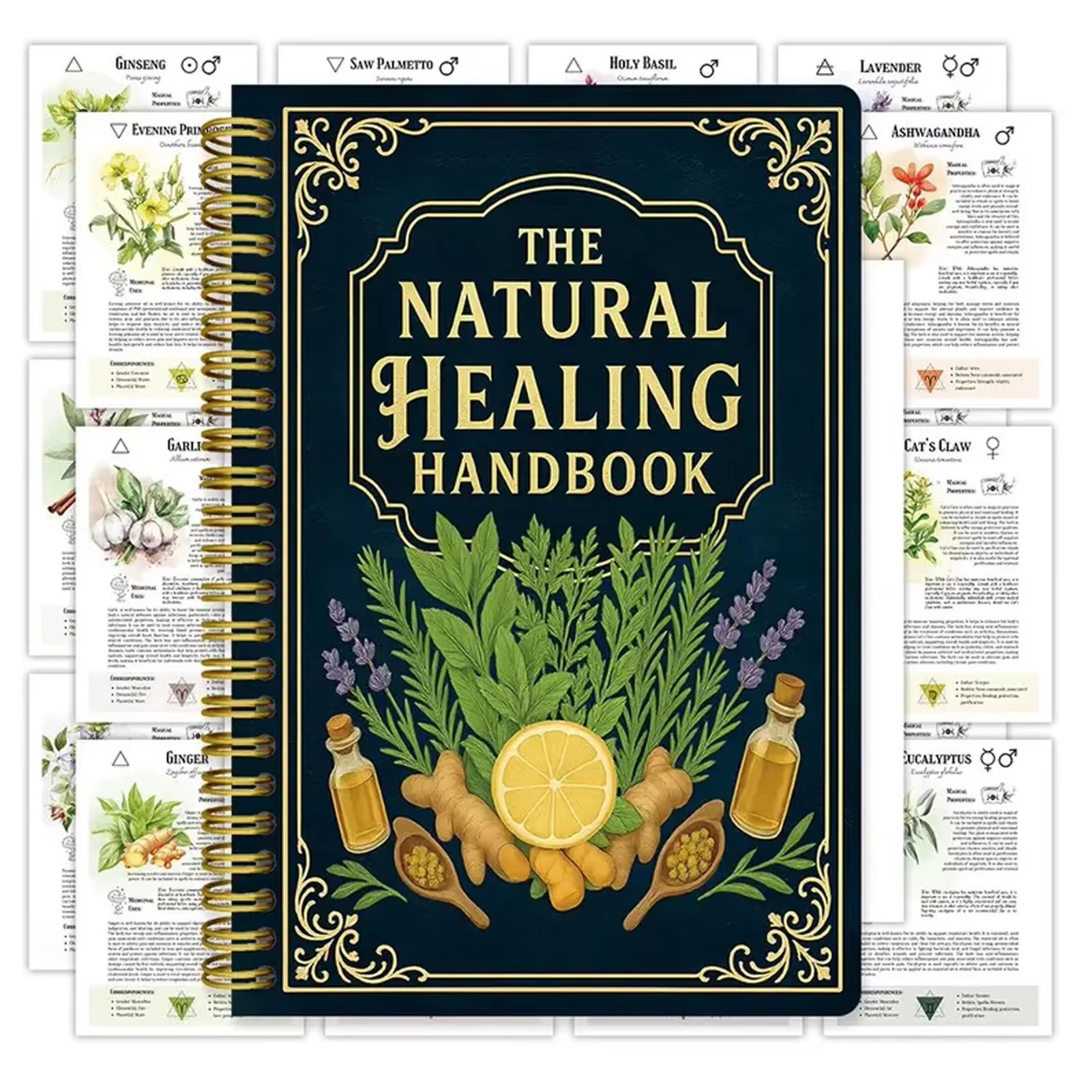 Healing Handbook By Luna Filby – обзор и цена Health & Wellness Nurse Coach